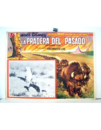 THE VANISHING PRAIRE