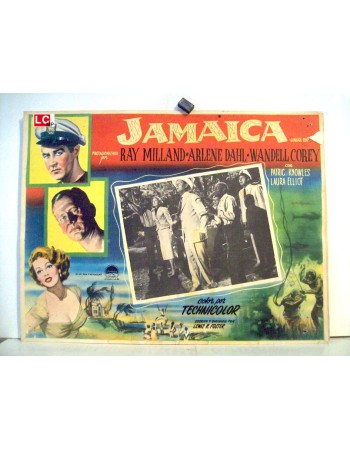 JAMAICA RUN