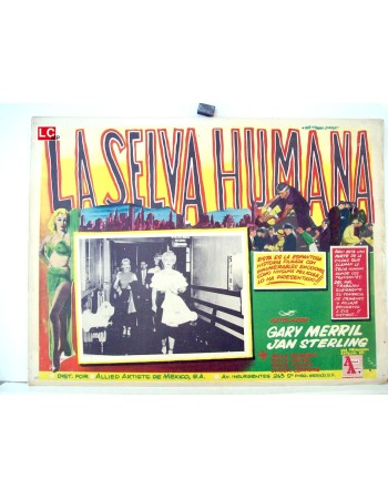 THE HUMAN JUNGLE