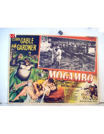 MOGAMBO