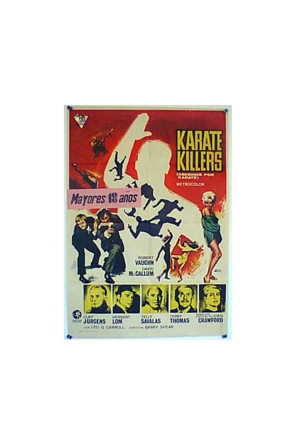 THE KARATE KILLERS