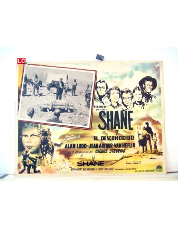 SHANE