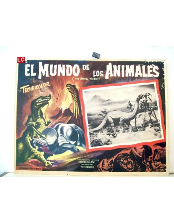 THE ANIMAL WORLD