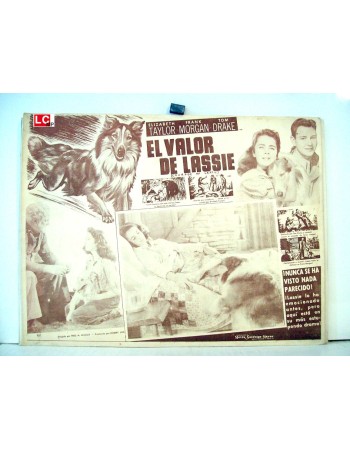 COURAGE OF LASSIE