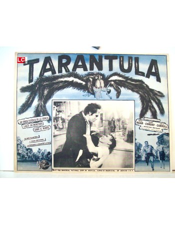 Tarantula