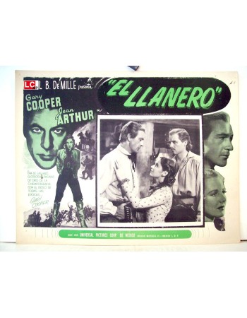THE PLAINSMAN