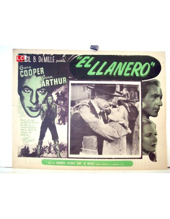 THE PLAINSMAN