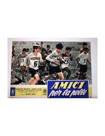 AMICI PER LA PELLE