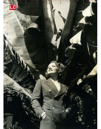 MARLENE DIETRICH