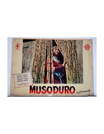 MUSODURO