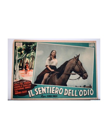 IL SENTIERO DELLODIO