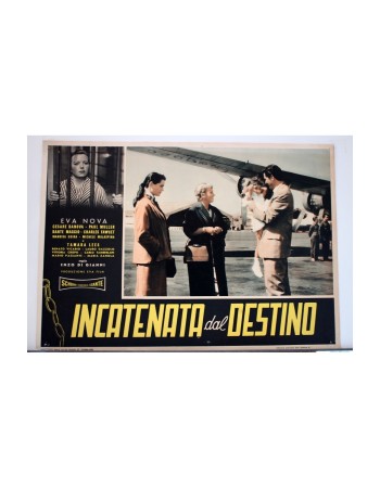 INCATENATA DAL DESTINO