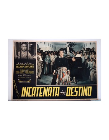 INCATENATA DAL DESTINO