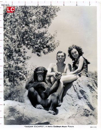 TARZAN ESCAPES