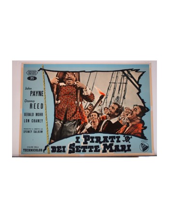 RAIDERS OF THE SEVEN SEAS