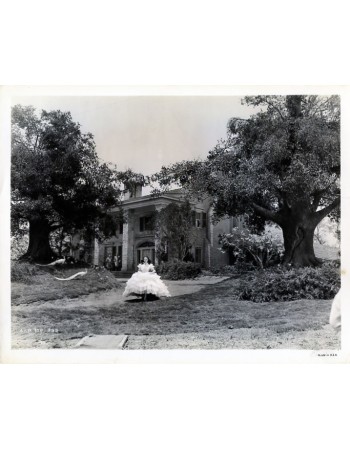 GONE WITH THE WIND
