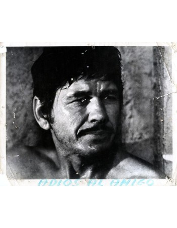 CHARLES BRONSON