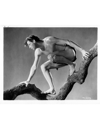 TARZAN E LA CAMPAGNE
