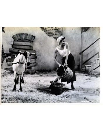 PORGY AND BESS