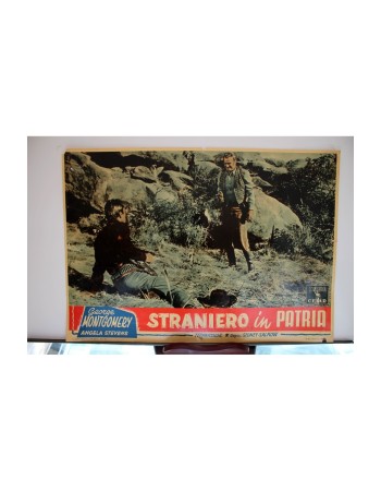 Jack McCall Desperado