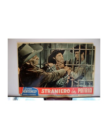 Jack McCall Desperado