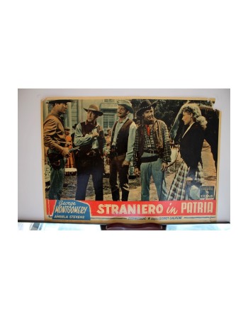 Jack McCall Desperado