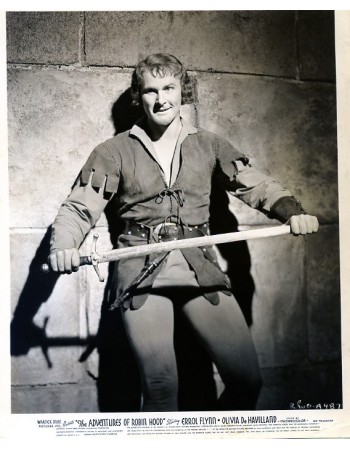 THE ADVENTURES OF ROBIN HOOD