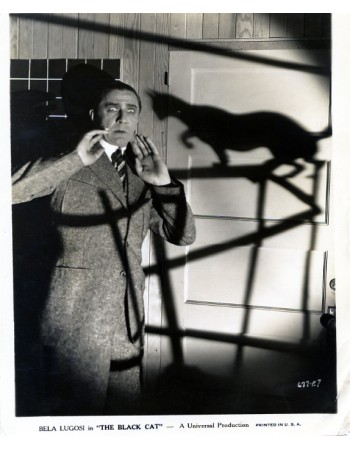 THE BLACK CAT