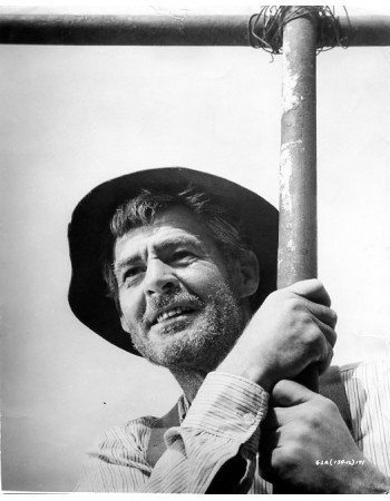 ROBERT RYAN