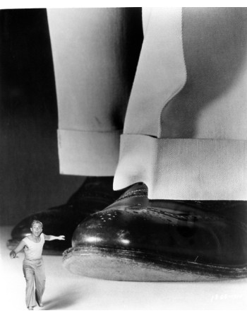 THE INCREDIBLE SHRINKING MAN