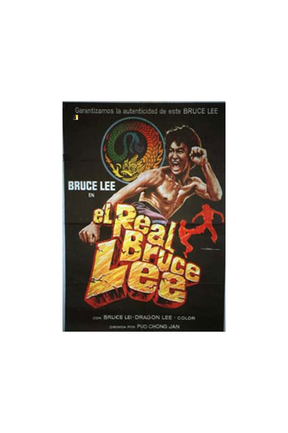 THE REAL BRUCE LEE
