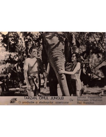 TARZAN OMUL JUNGLEI