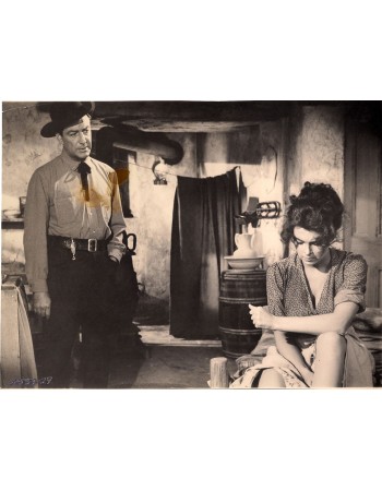 ROBERT TAYLOR