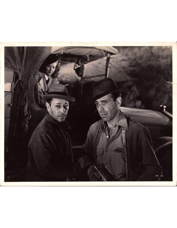 THEY DRIVE BY NIGHT