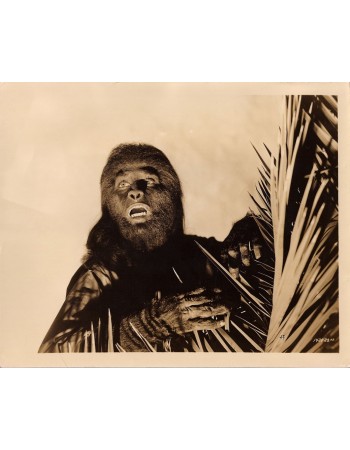 JUNGLE CAPTIVE