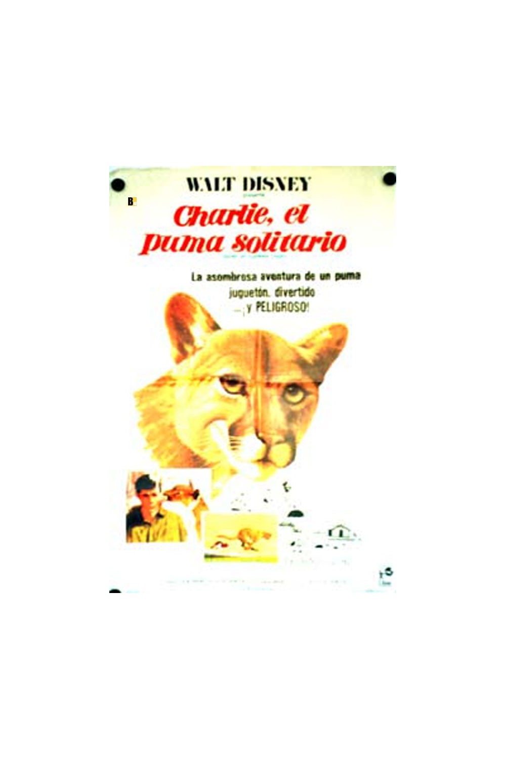 CHARLIE, THE LONESOME COUGAR