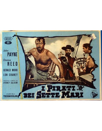 RAIDERS OF THE SEVEN SEAS