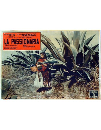 PASSIONARIA, LA