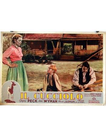 THE YEARLING