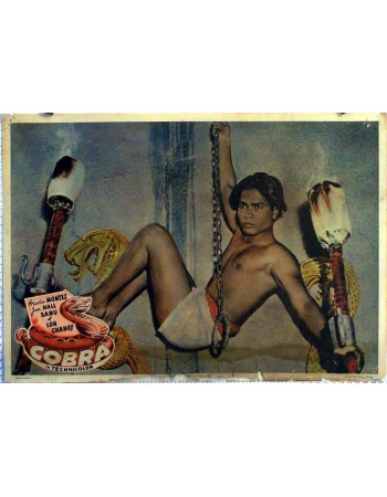COBRA WOMAN