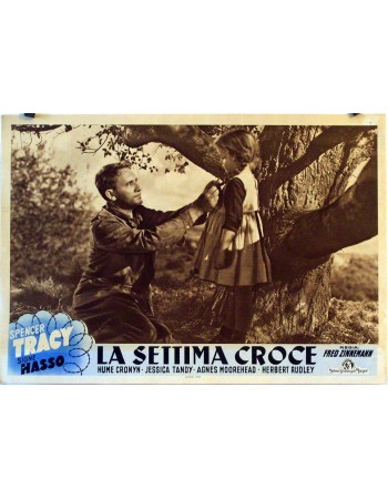 THE SEVENTH CROSS