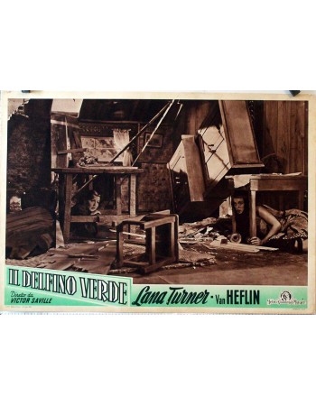 GREEN DOLPHIN STREET