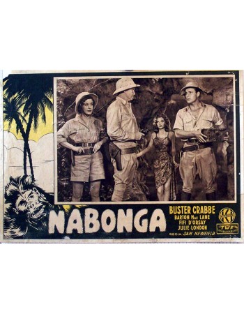 NABONGA, GORILLE
