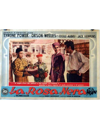 THE BLACK ROSE