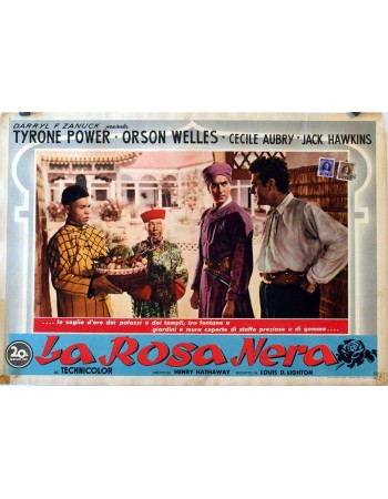 THE BLACK ROSE