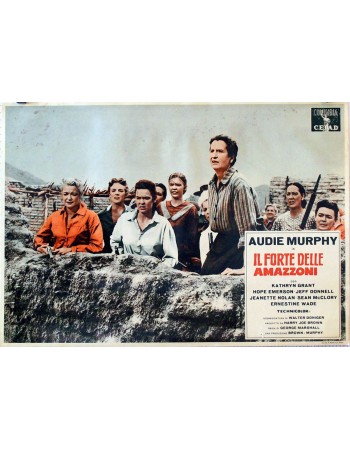 THE GUNS OF FORT PETTICOAT