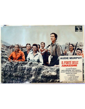 THE GUNS OF FORT PETTICOAT