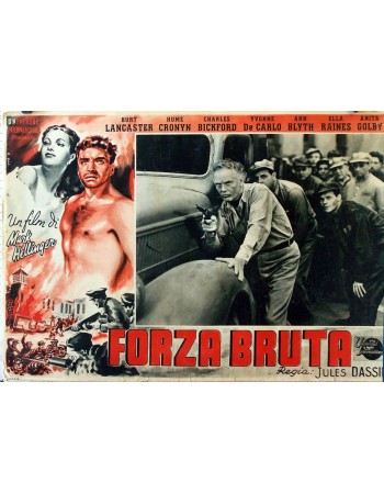 BRUTE FORCE