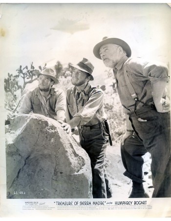 THE TREASURE OF THE SIERRA MADRE