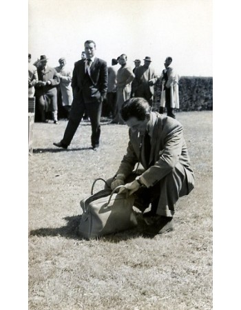 ROBERT TAYLOR